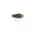 Berkley Chisai Spoon 1,8 Orange Splat