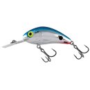 Salmo Rattlin Hornet 5,5 Floting Red Tail Shiner