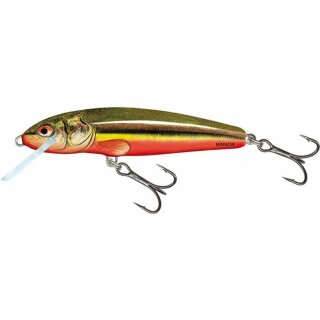Salmo Minnow 5 Floting