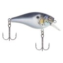 Berkley Pitbull 5,5 Blue Back