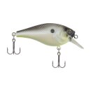 Berkley Pitbull 5,5 Chameleon Pearl