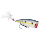 Strike King KVD Splash 7cm Sexy Shad