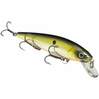 Strike King KVD 300 Jerkbait 12cm