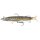 Fox Rage Realistic Pike Super Natural Pike