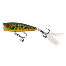 Salmo Rattlin Pop 7 Floating Hot Toad