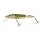Salmo Pike Jointed Floting Real Pike