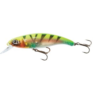 Fox Rage Slick Stick SR Sun Tiger UV