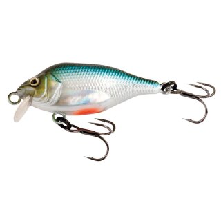 Fox Rage Funk Bug SR Silent Cool Herring UV 4cm