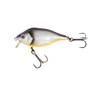 Fox Rage Funk Bug SR Silent Silver Baitfish UV 4cm