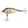 Fox Rage Funk Bug SR Silent Striped Shiner UV 4cm