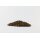 Evezet Fishing Commercial XXL Soaker Pellets 900g