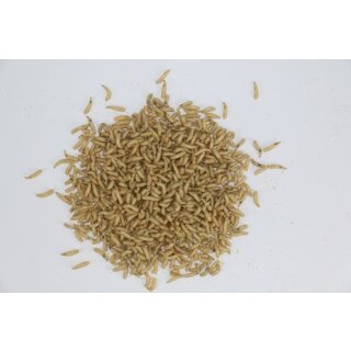 Castermaden 1000ml