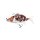 Fox Rage Carp Replicant Koi Carp 14cm