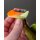 Fox Rage Strike Point Hitcher Rattles