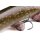 Fox Rage Ultra Natural Replicants Pike