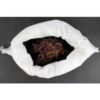 Dendrobena Würmer 1kg Sackware Large