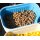 Cresta Bait Tube With Closed Lid Train 600ml