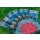 Guru Multi Maggot Feeder Mini 20g