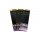 Guru Super LWG Bait Band Ready Rig Gr.18
