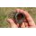 Preston Distance Cage Feeder New 2018 - Large 40g