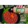 Dynamite Baits Premium Liquid Carp Food - Robin Red
